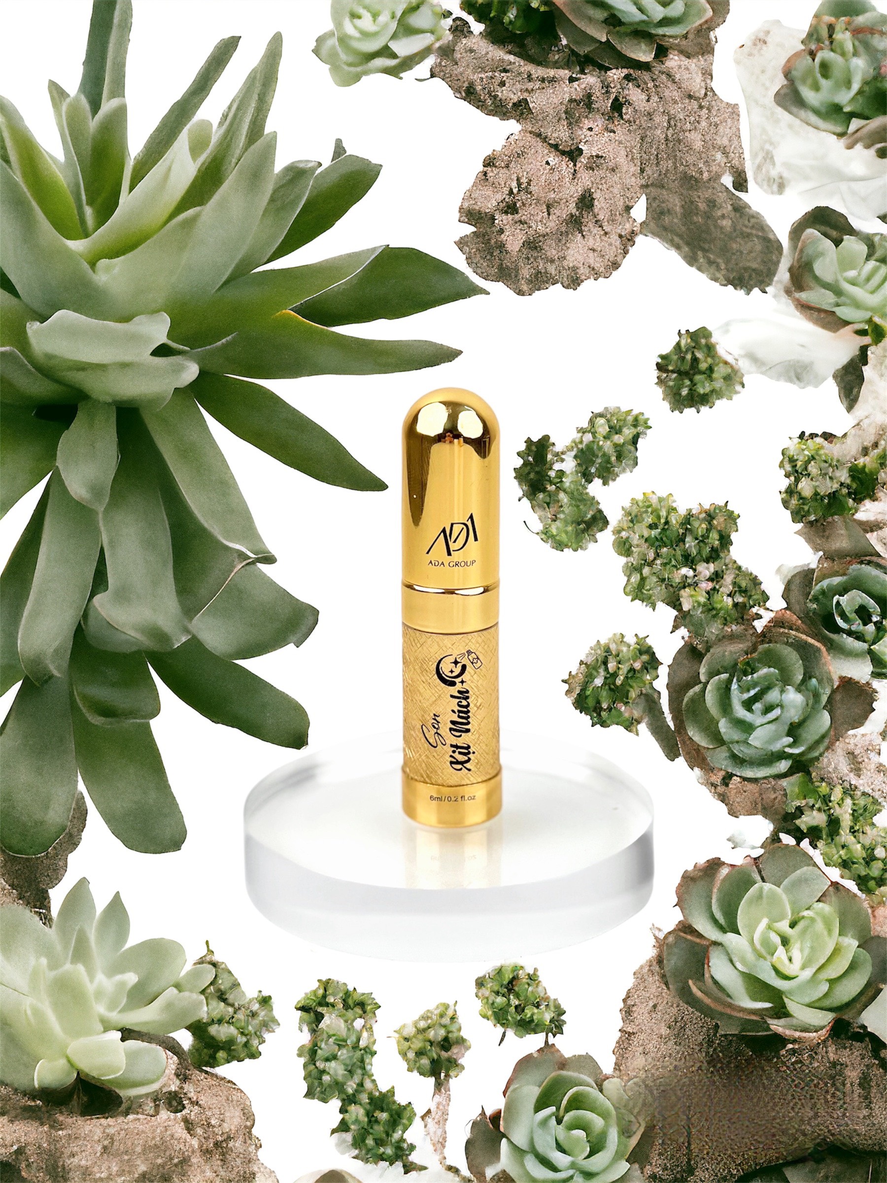 z5373385947652_81a611eda26eecb5a6b9e37fb8af106b